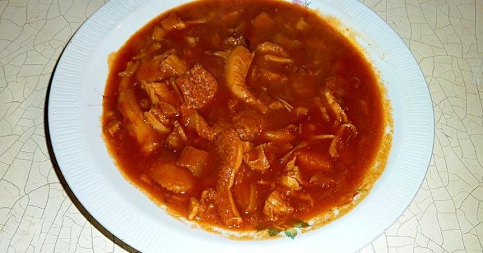 Fileki